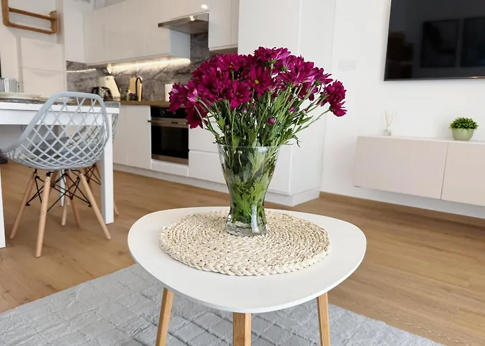 B50 Trzy Lipki - - Wgh Rent Appartamento